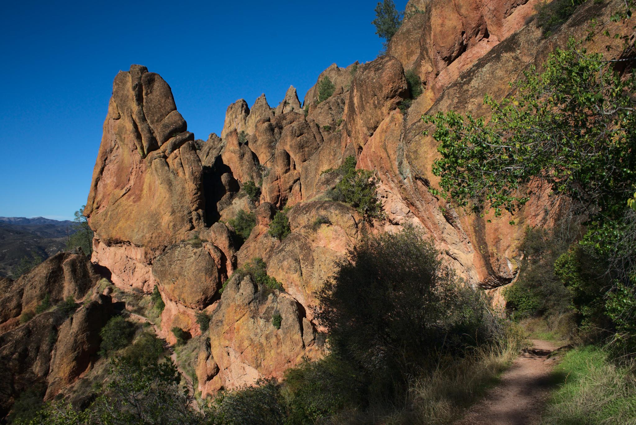 Jagged orange rock formations tower over a sunlit dirt trail with green bushes.