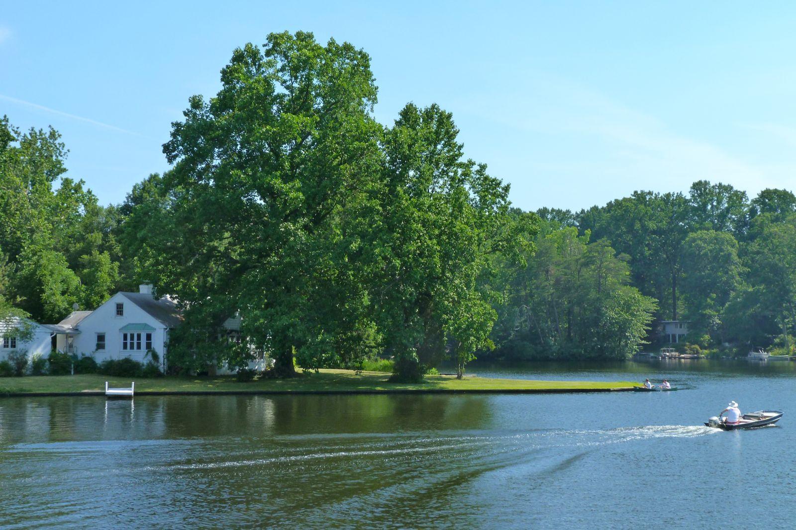 Sunny lake scene with a house, large tree, and people boating.