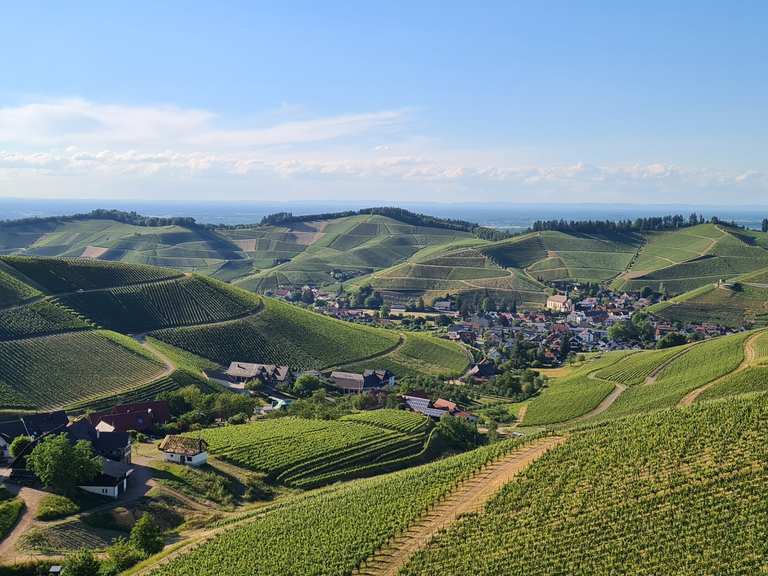 Durbacher Weitblick Brandeckkopf Runde von Vollmersbach Wanderung