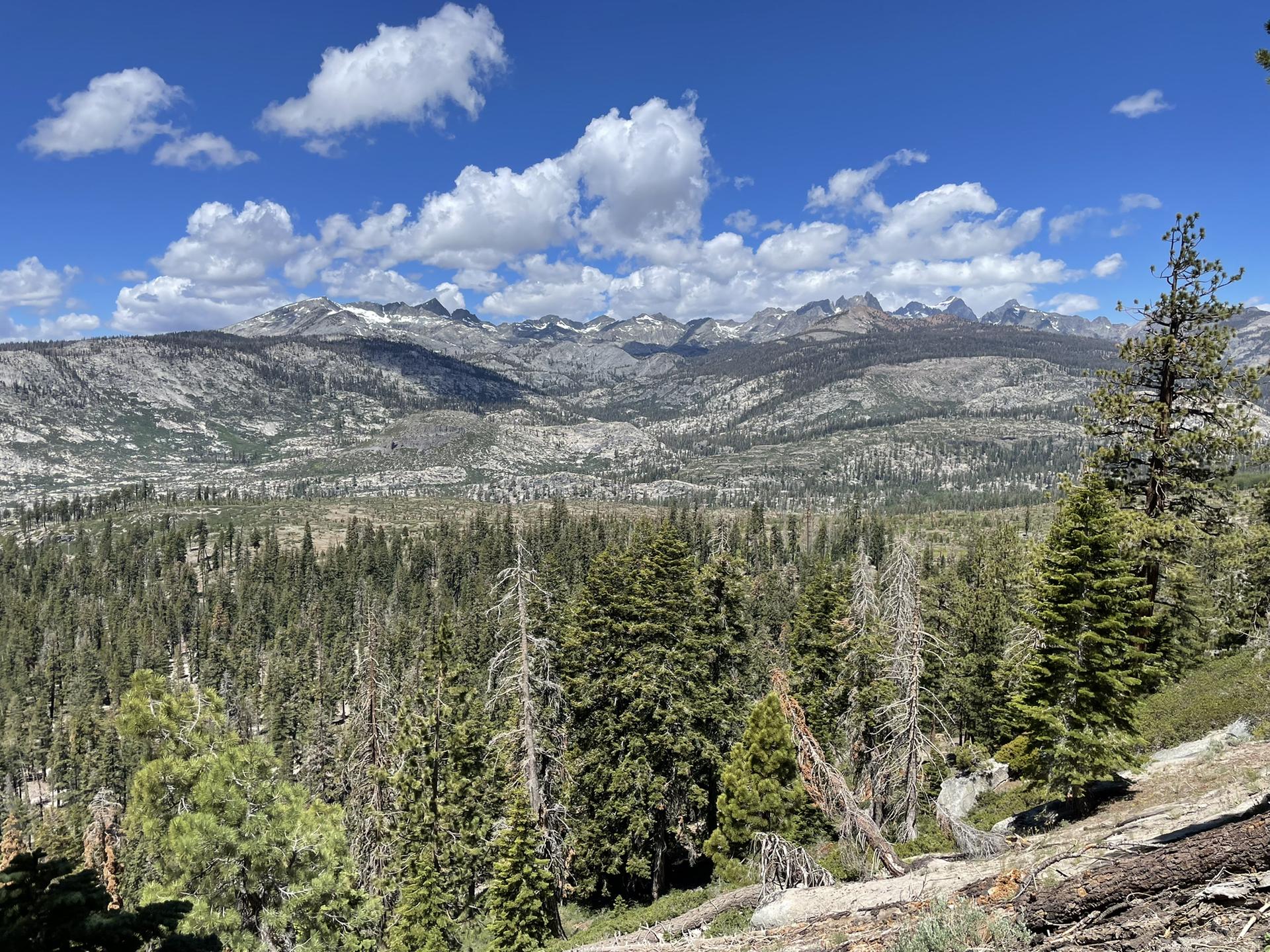 A vast evergreen forest overlooks a distant, rugged mountain range under a cloudy blue sky.