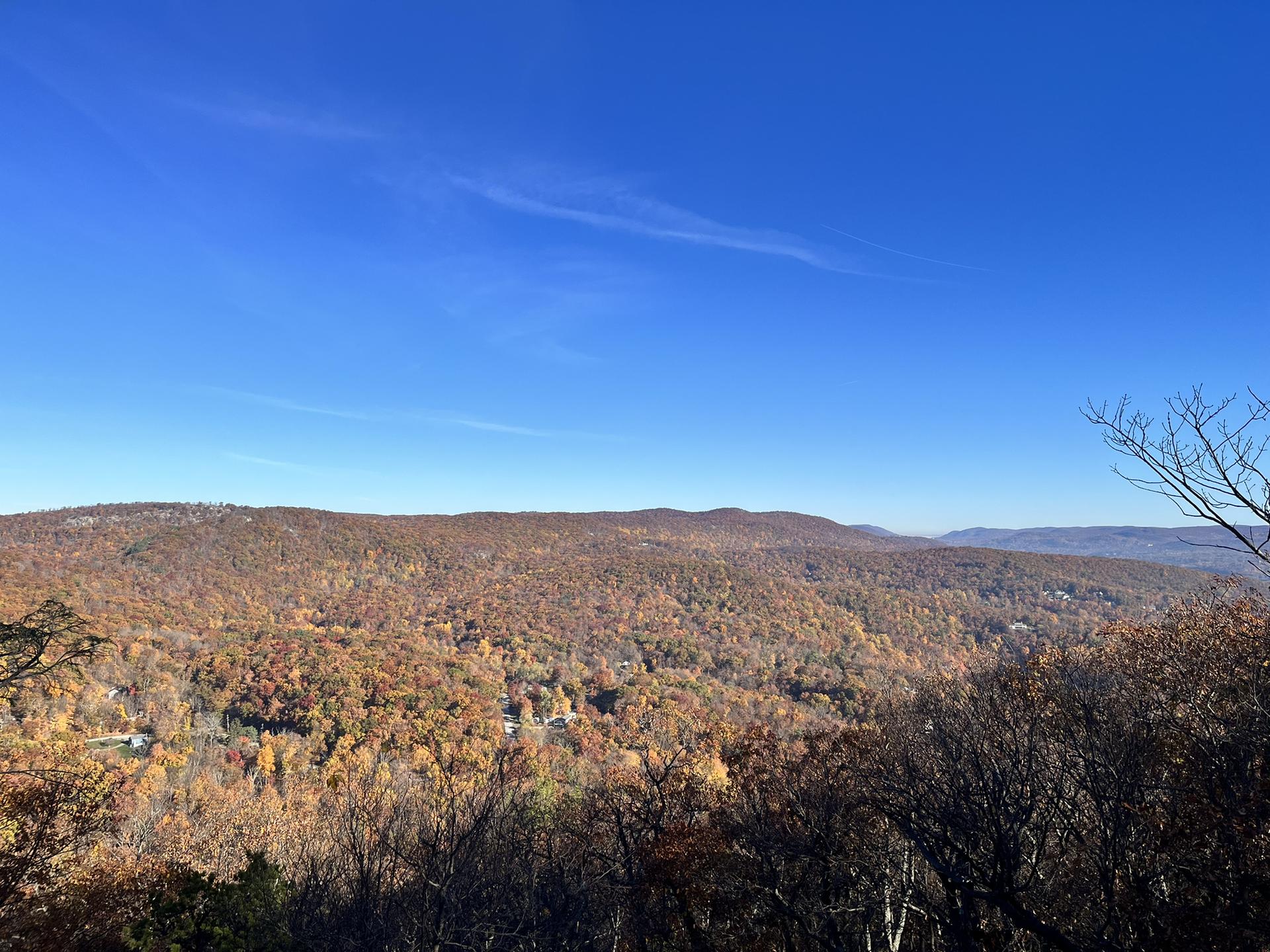 Panoramic view of rolling hills covered in vibrant autumn foliage under a clear blue sky.