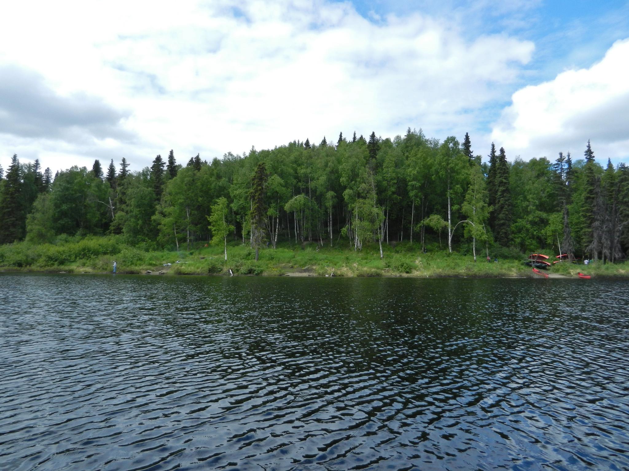 Dark lake water, dense green forest, small boats on shore, cloudy sky.