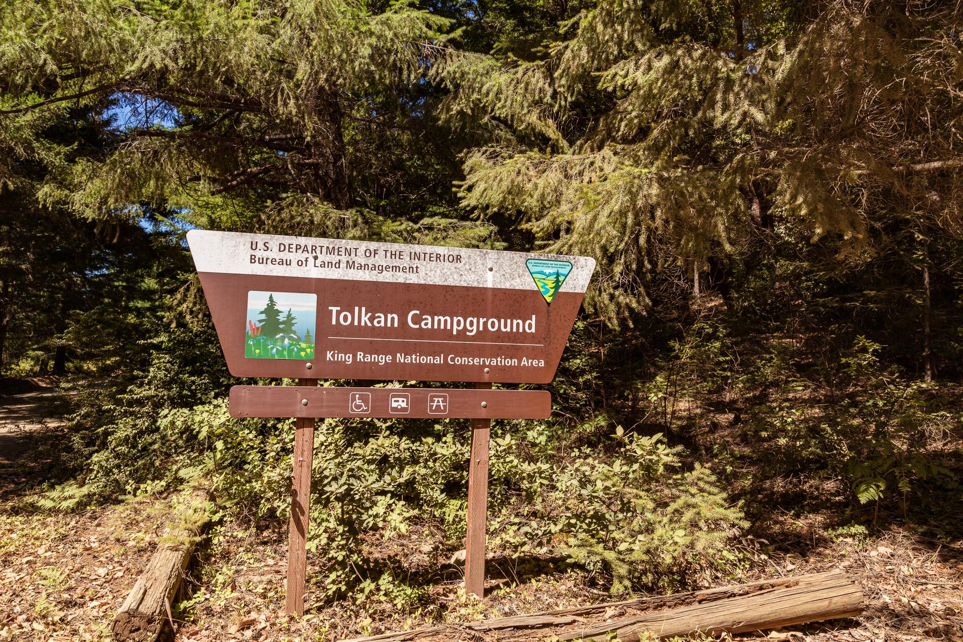A brown and white campground sign stands in a sunlit, dense green forest.