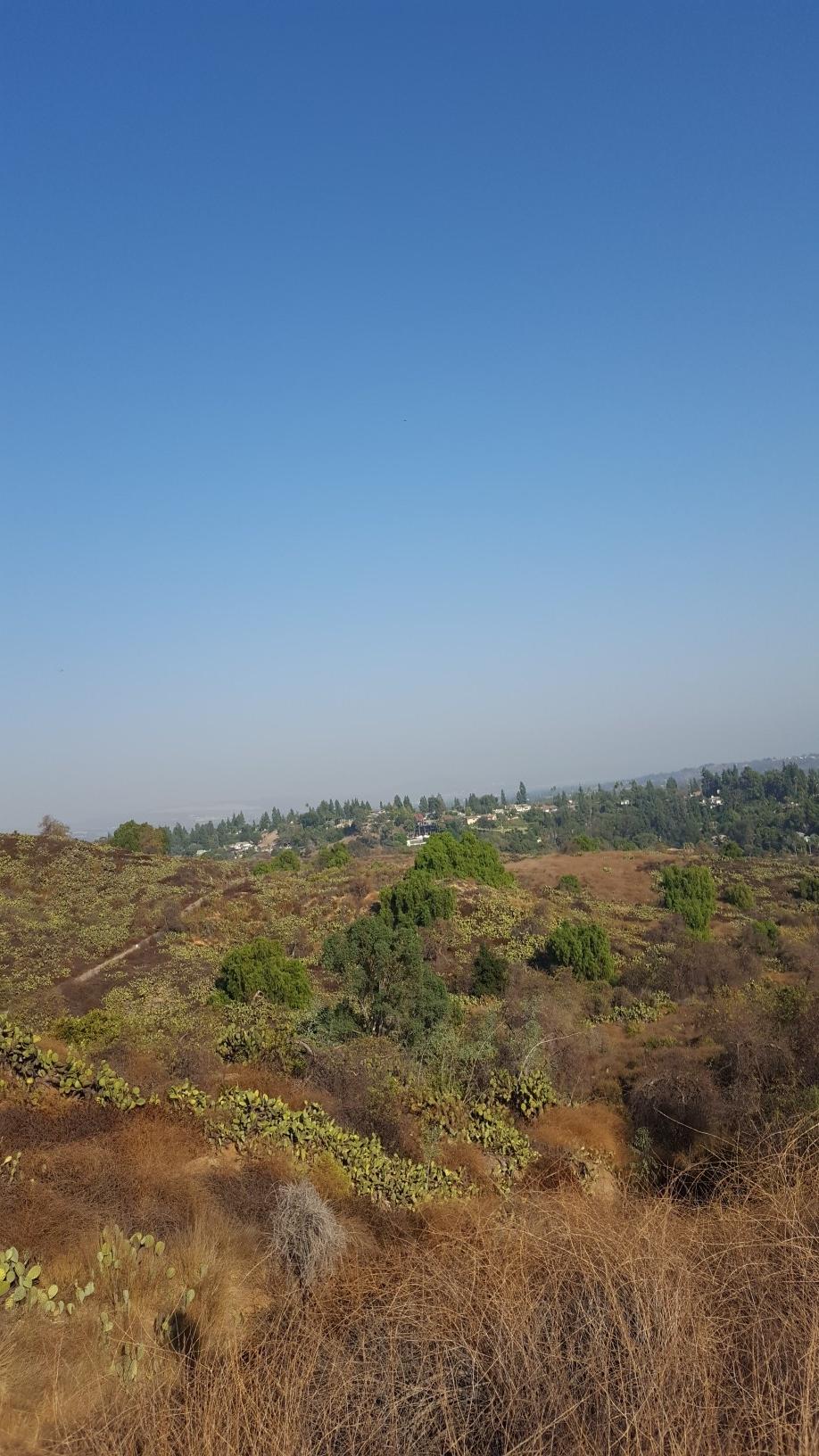 Arid, hilly landscape with sparse green bushes under a clear blue sky.
