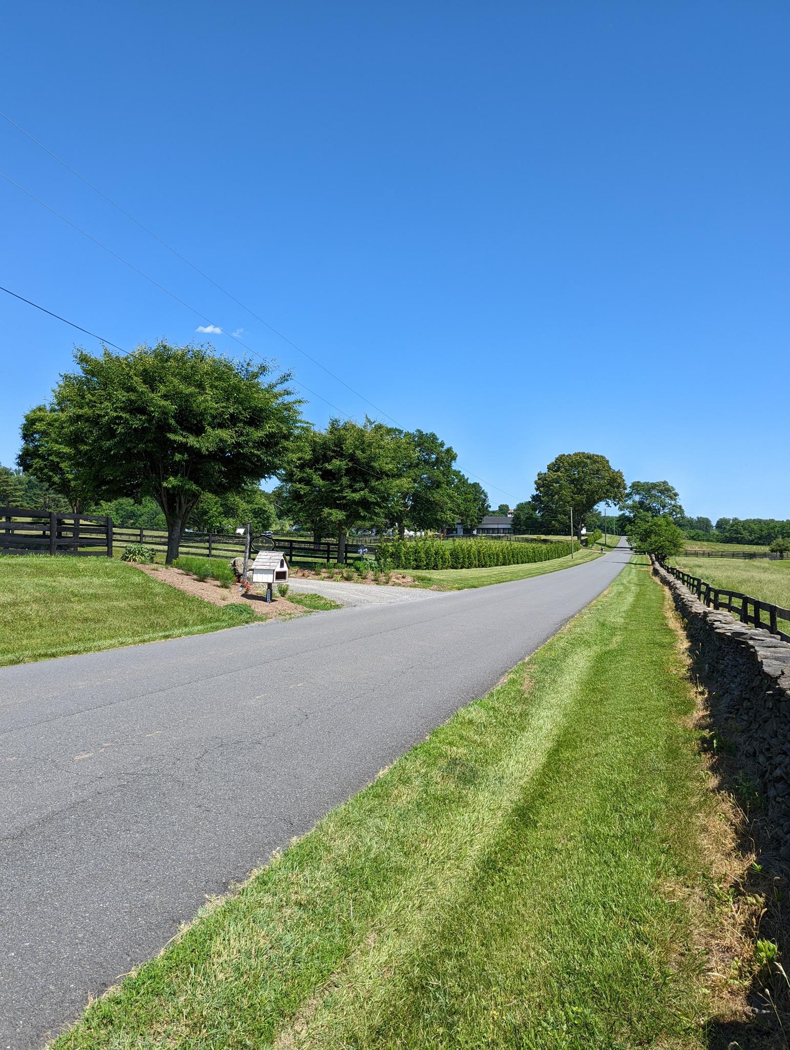 A paved road with green grass shoulders, trees, and a clear blue sky.