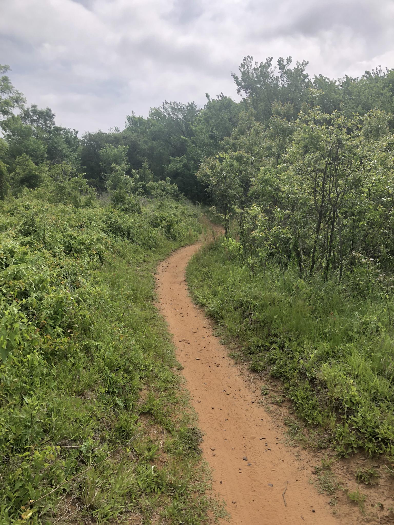 Winding dirt path through dense green foliage under an overcast sky.