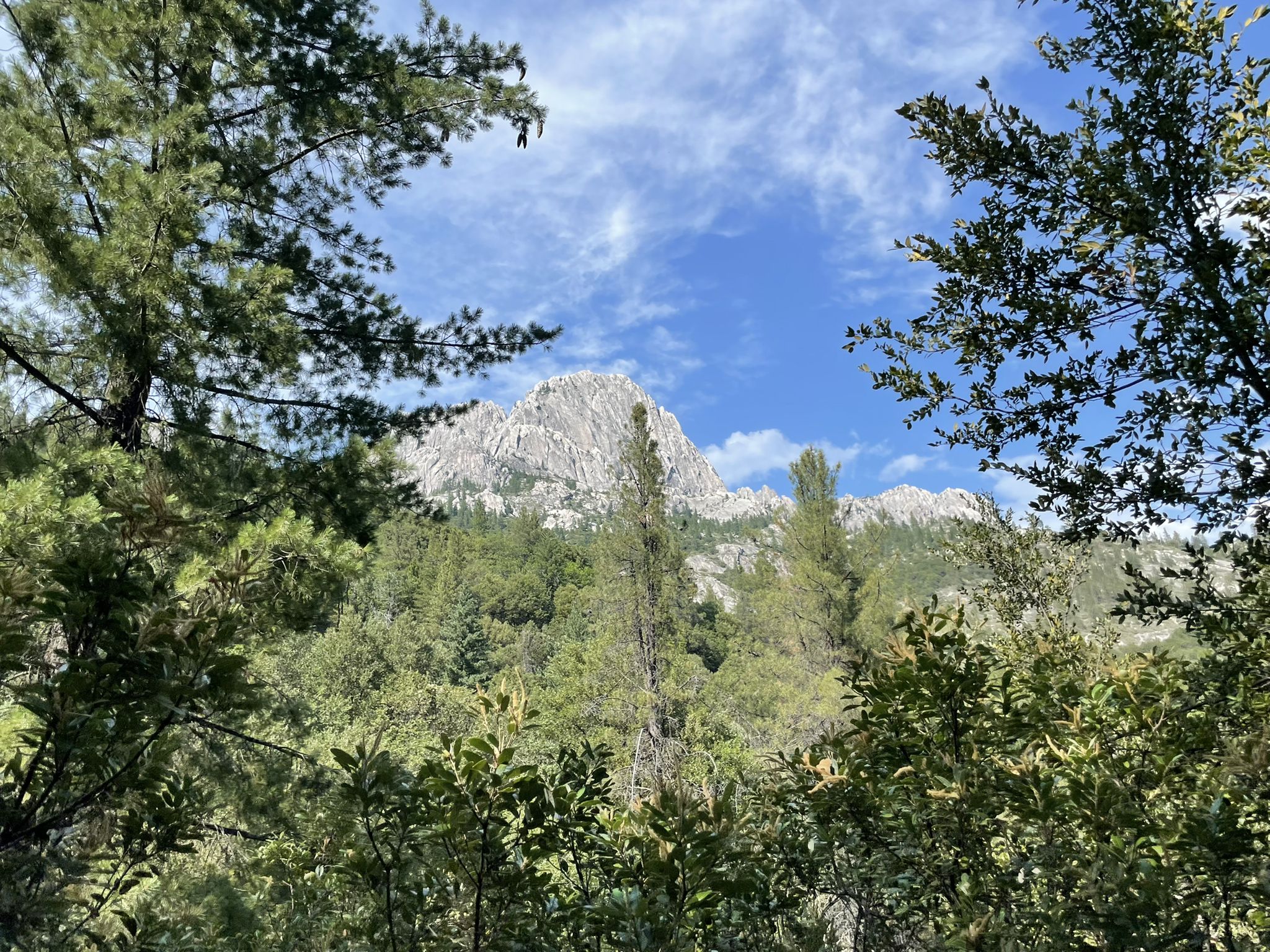 Rocky mountain peak framed by green trees under a bright, cloudy sky. - Pacific Crest, Sulphur Creek and Dog Trail Loop