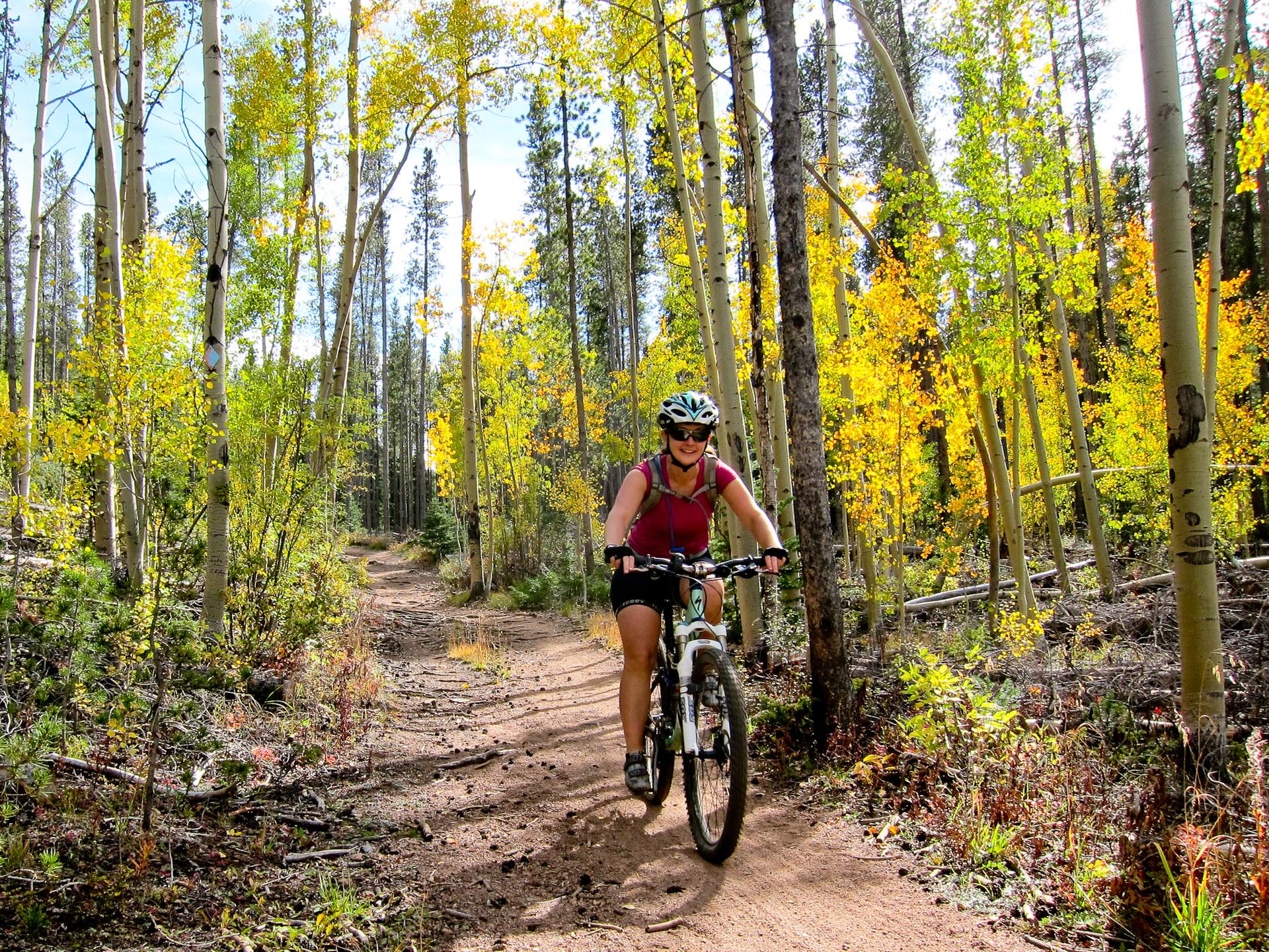 Woman mountain biking on a sunny dirt path through a vibrant autumn forest.