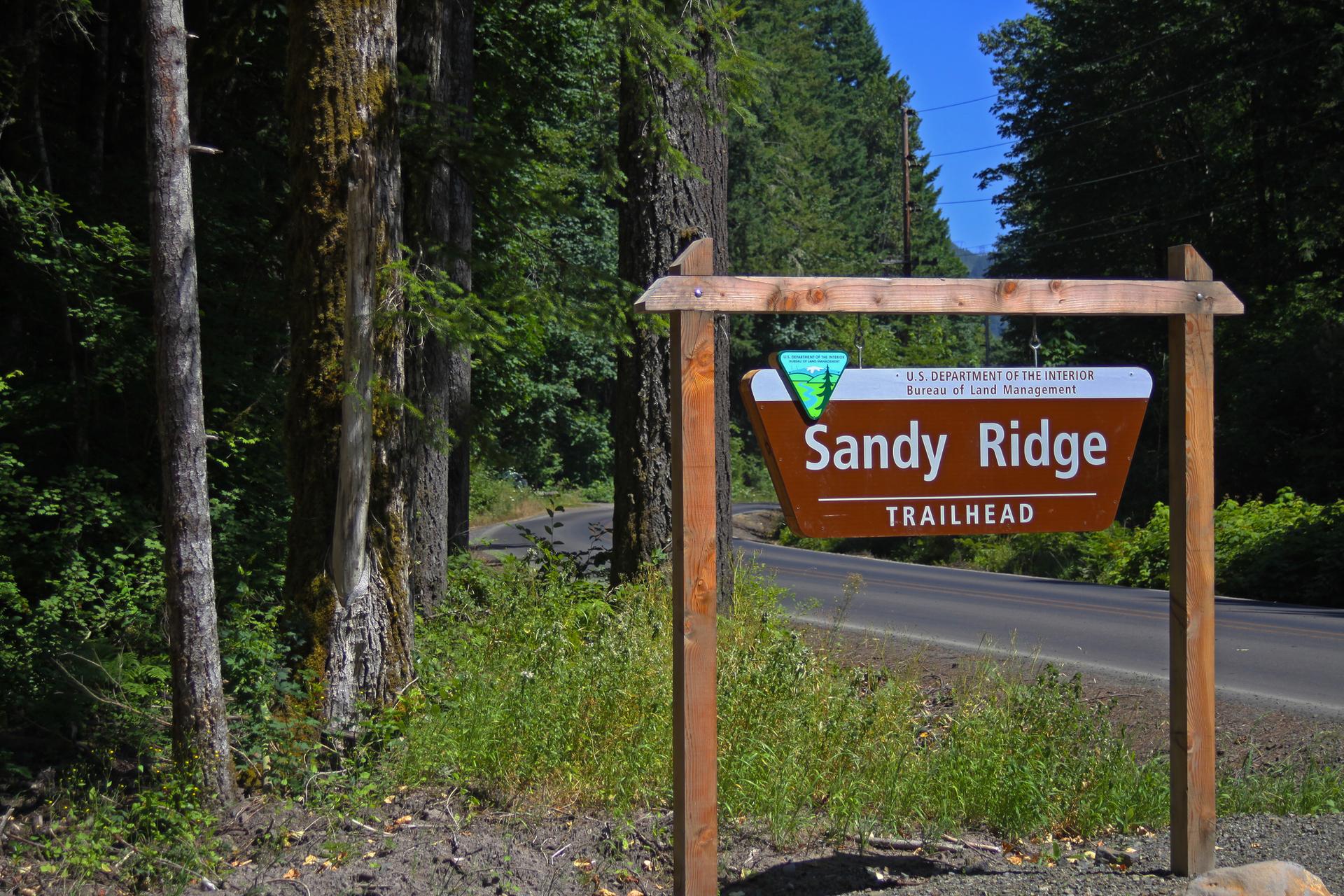 A wooden trailhead sign stands beside a road in a sunny, forested area.