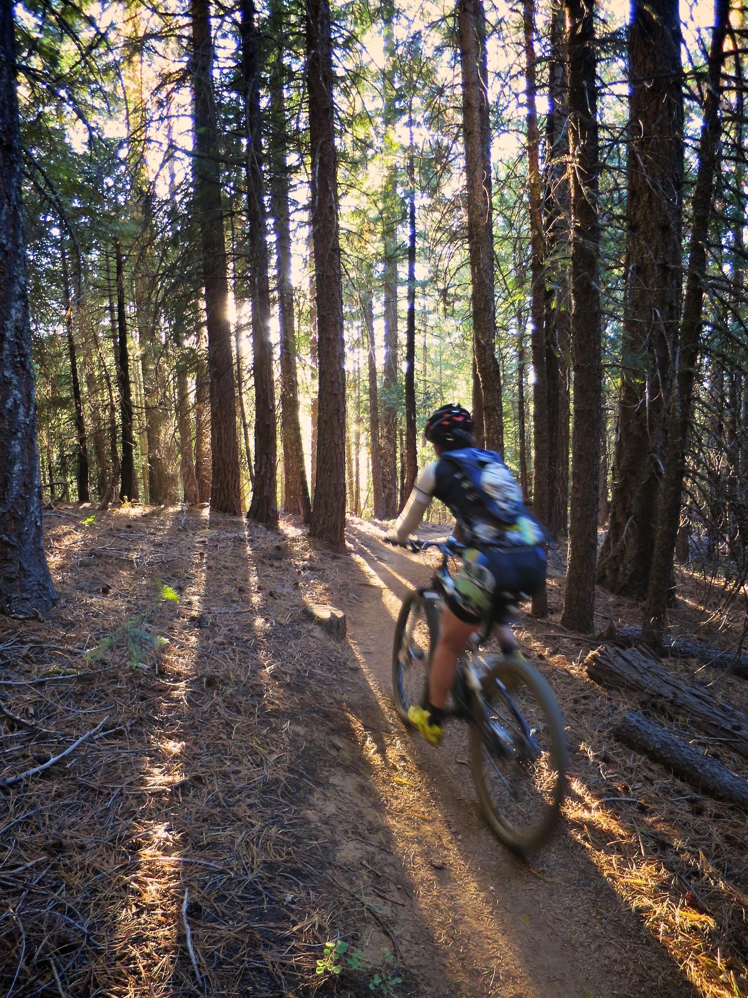 Person mountain biking on a sun-dappled dirt trail through a dense forest.