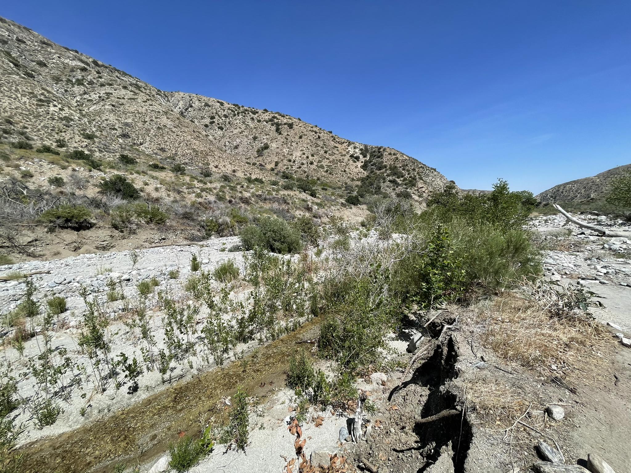 Wide, dry riverbed with rocky banks and arid hillsides under blue sky.