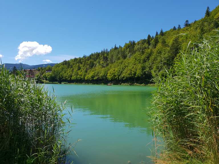 Lago di Lavarone MountainbikeTouren und Trails komoot
