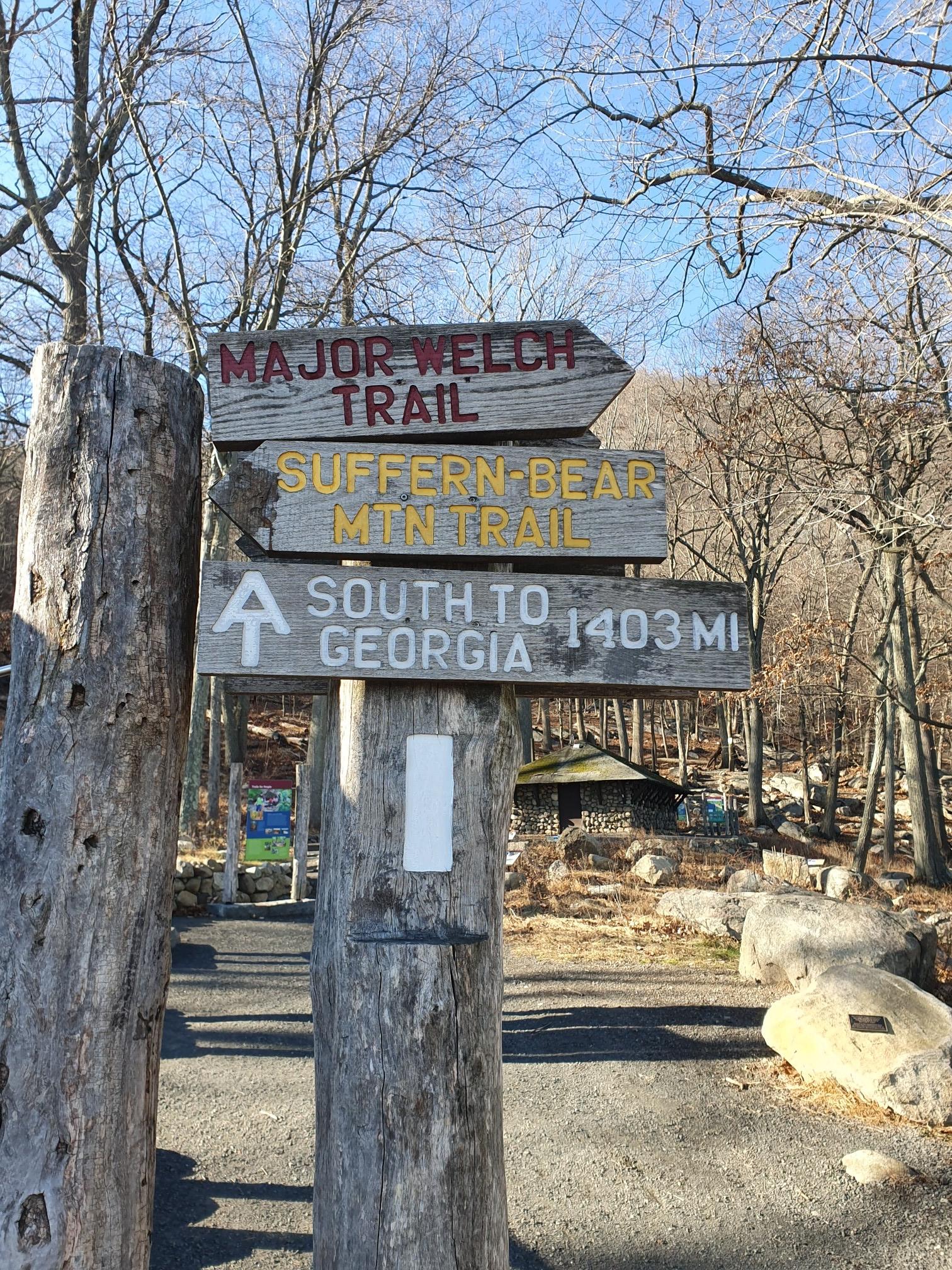Rustic wooden trail signs on a post in a sunny, bare forest.