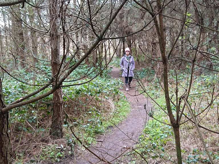 Blidworth Woods wandelroutes en hikes Komoot