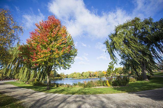 Sunny autumn day with colorful trees beside a calm lake and path.