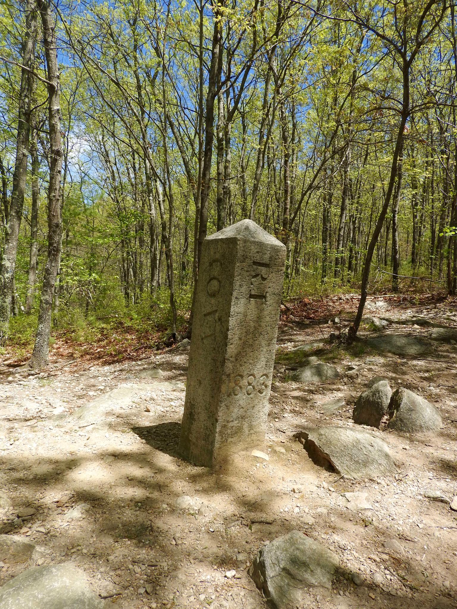 An old stone marker with "1883" stands in a sunlit green forest.
