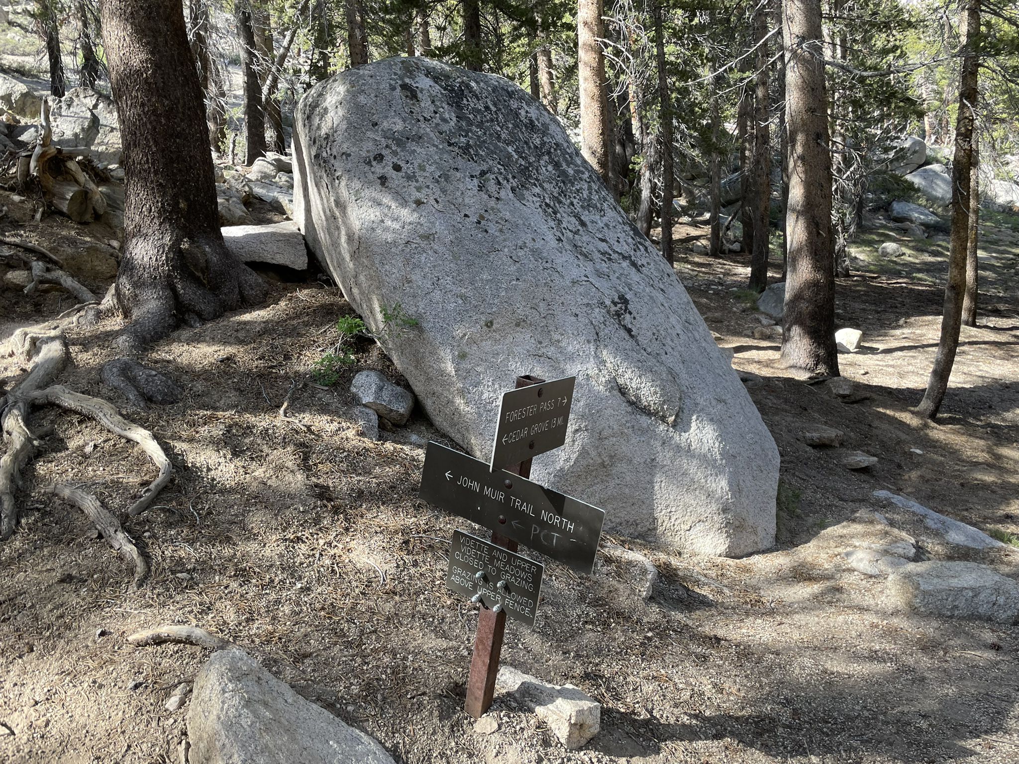 A large boulder and a trail sign stand on a sun-dappled forest floor. - Rae Lakes Loop