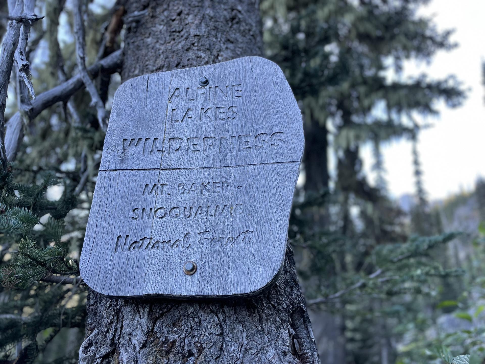 A weathered wooden sign, 'ALPINE LAKES WILDERNESS', nailed to a tree.