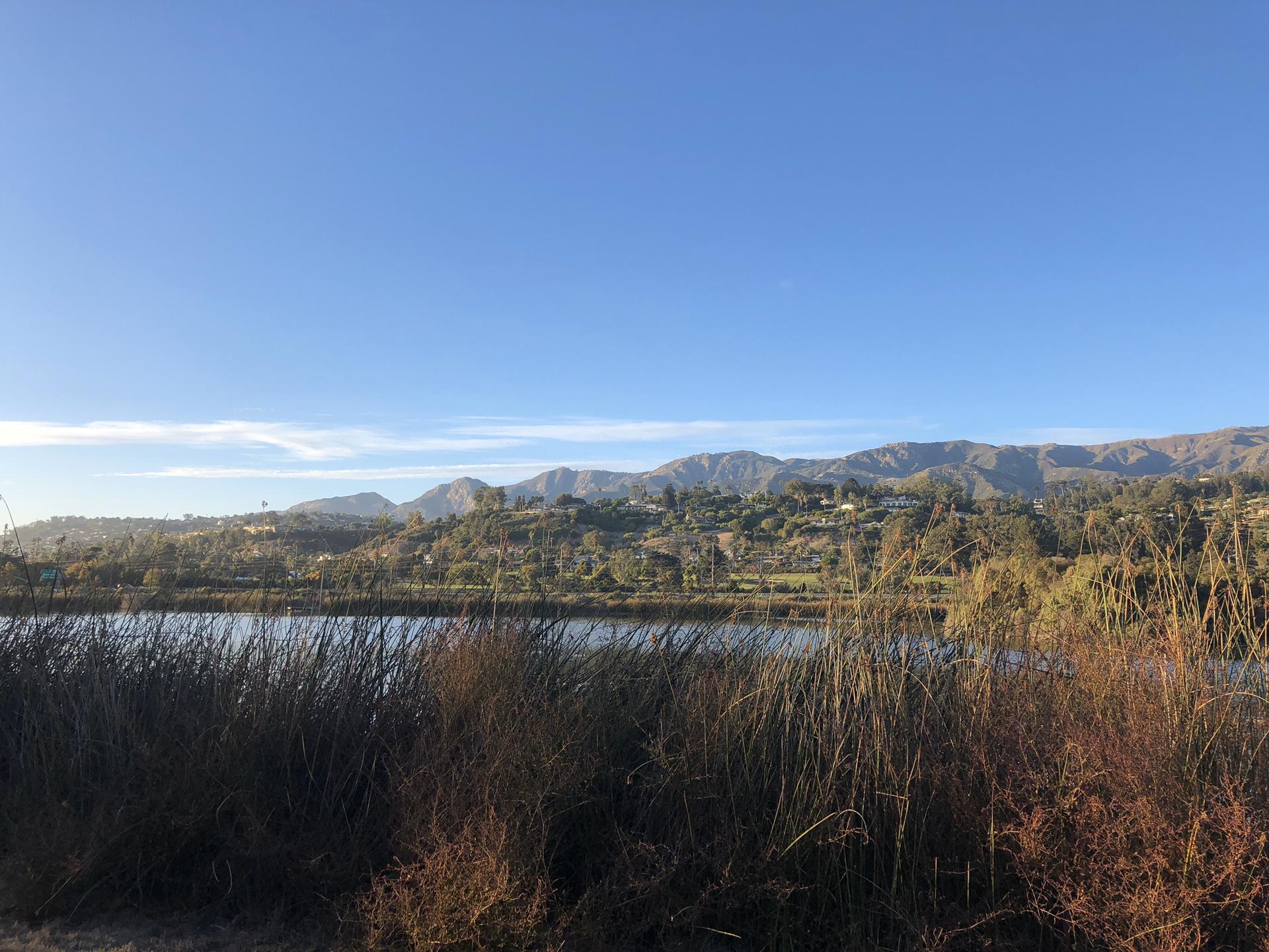 Calm lake with lush vegetation and distant mountains under blue sky.