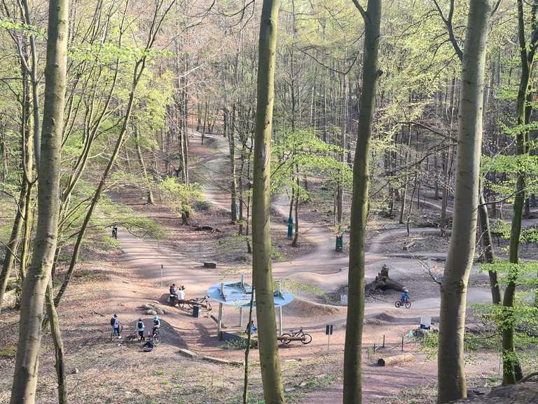 mountainbike rahmenschutz VOLLSTÄNDIGER MTB UND STRASSENFAHREN Dragon NFX2 Blizzard, Midnight, Colour:VLT 10%-80% Grey Shimano tektro E