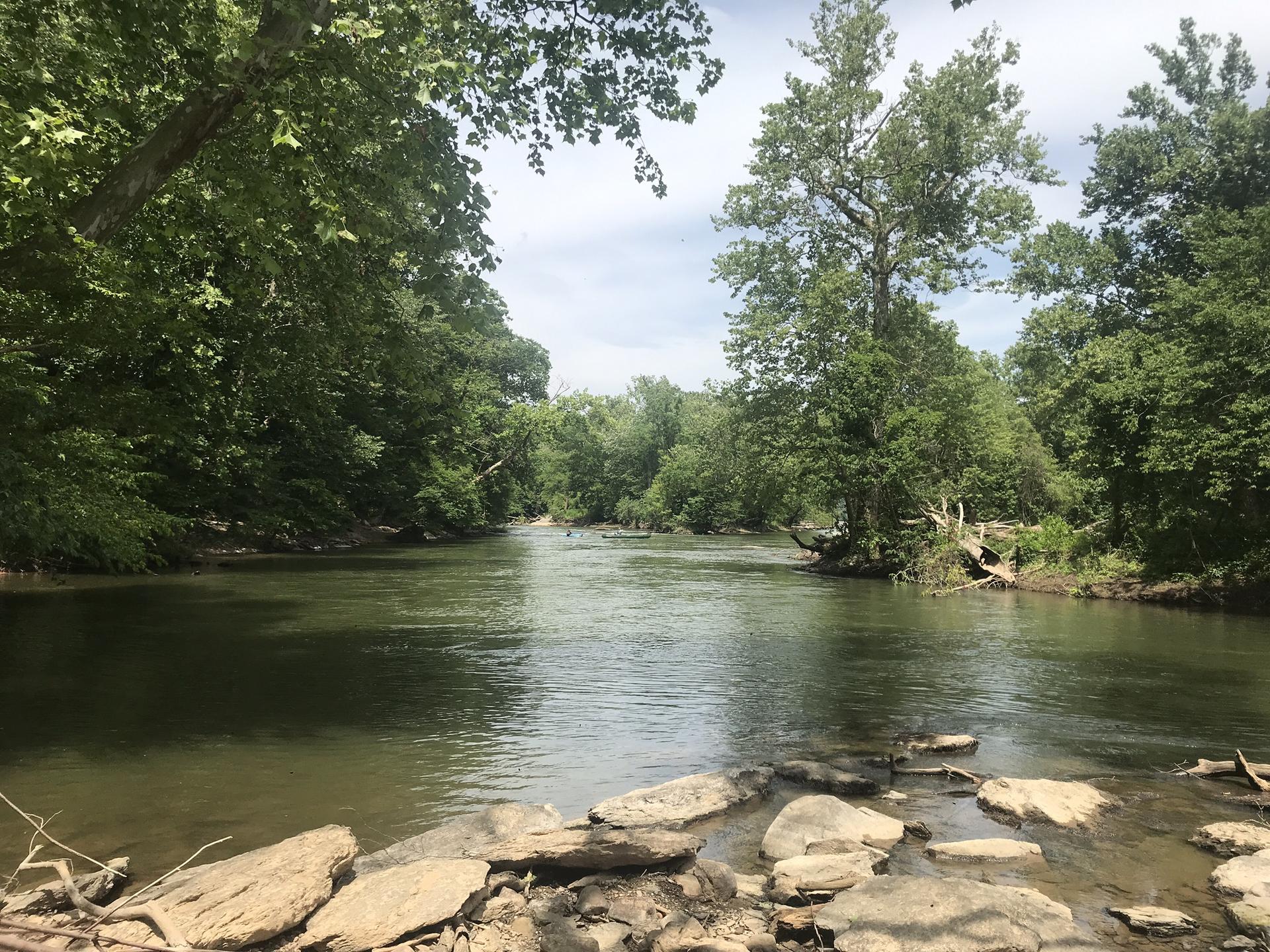 A wide river flows through a lush green forest on a sunny day.