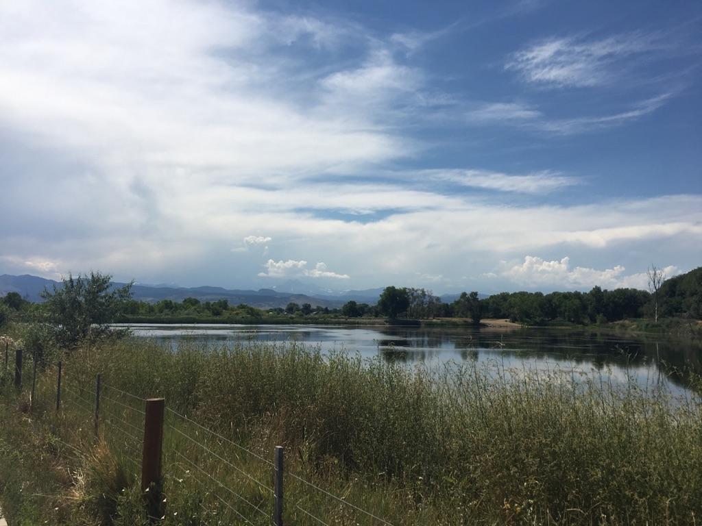 Expansive lake with green foliage, fence, and distant mountains under blue sky.