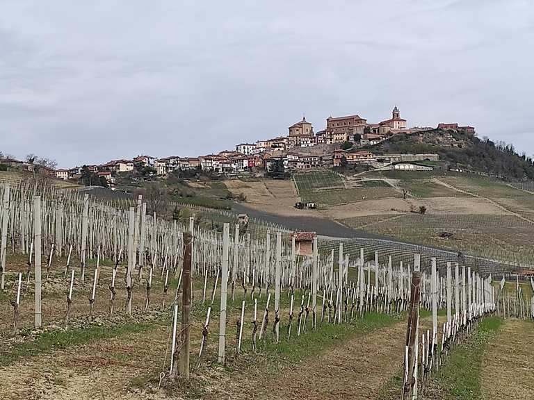 Barolo Blick auf La Morra Runde von La Morra Wanderung Komoot
