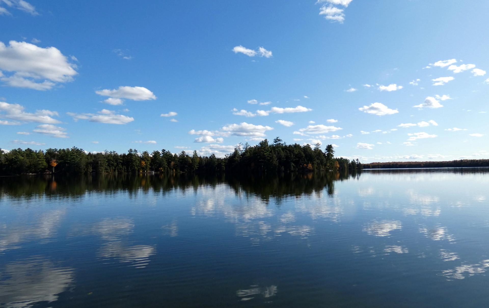 Calm lake reflecting blue sky and white clouds, with a forested shoreline.
