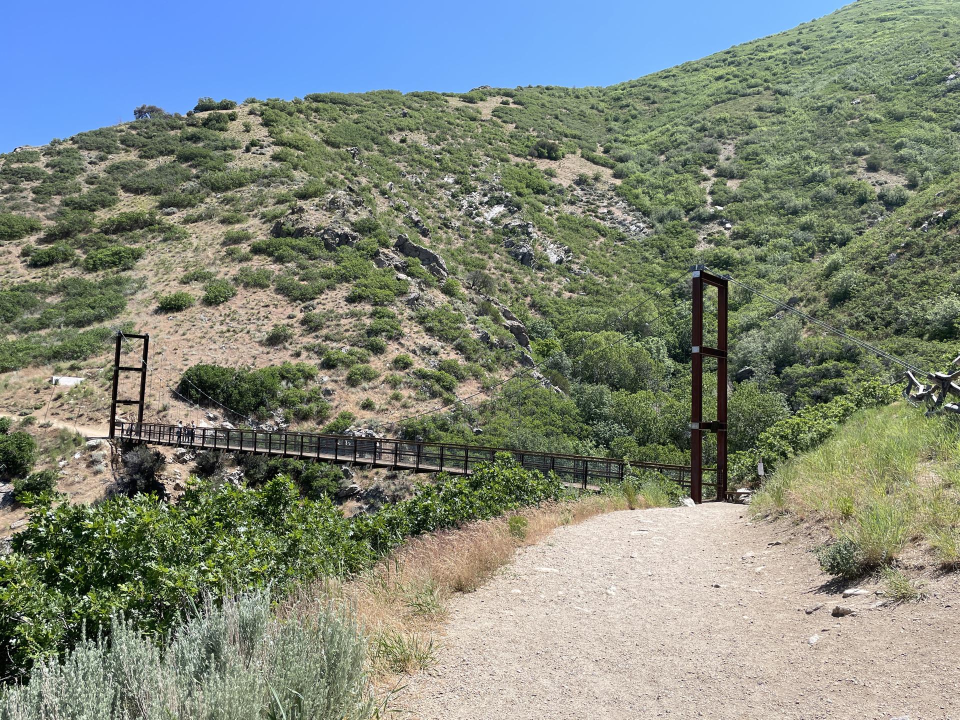 A dirt path leads to a suspension bridge spanning a green hillside on a sunny day.