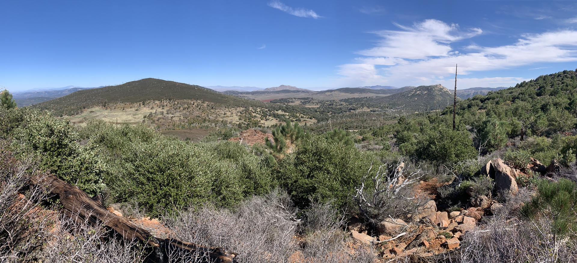 Wide panoramic view of rolling, forested hills under a bright blue sky.