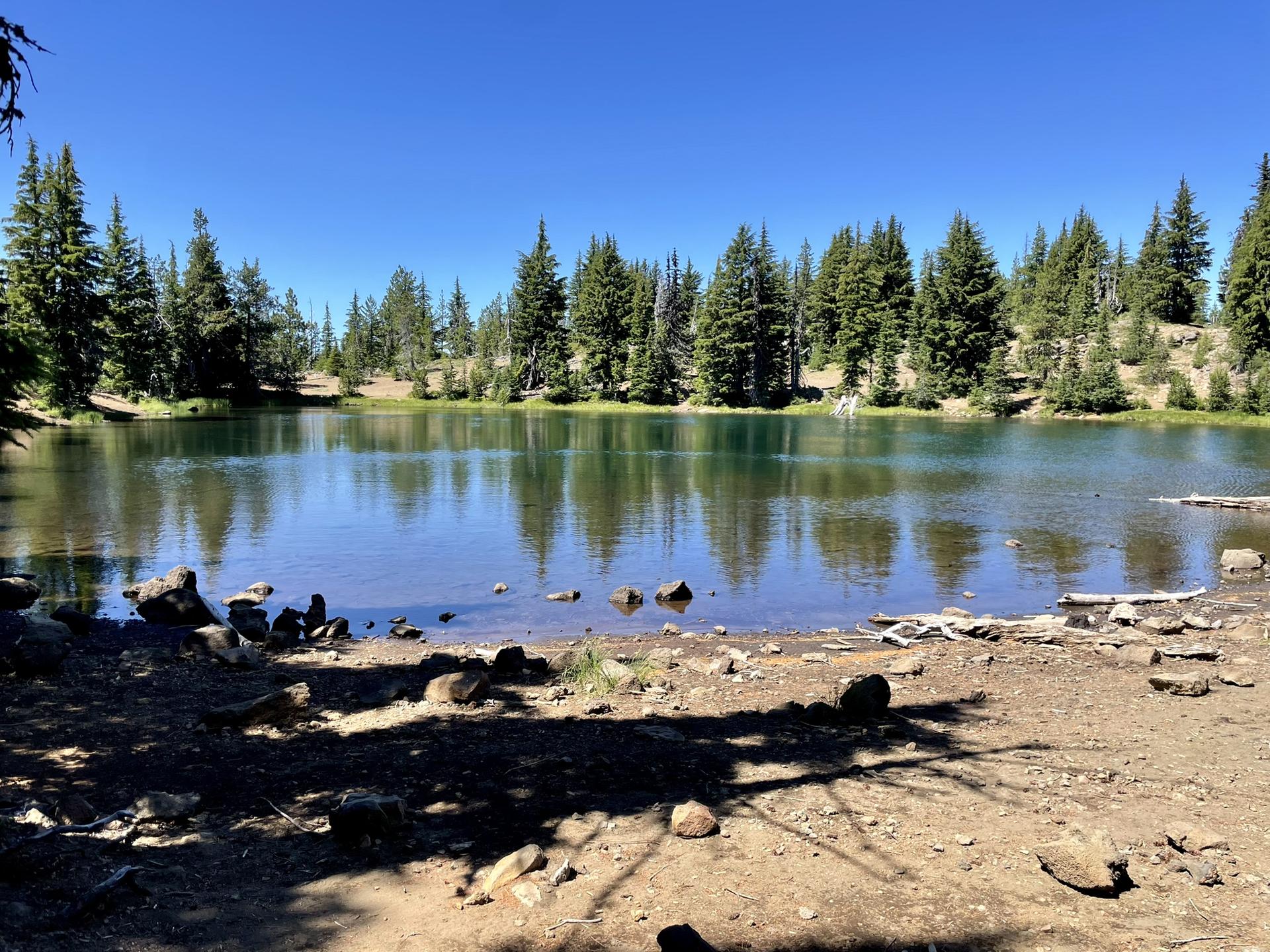 A clear blue lake reflects evergreen trees under a bright sunny sky.
