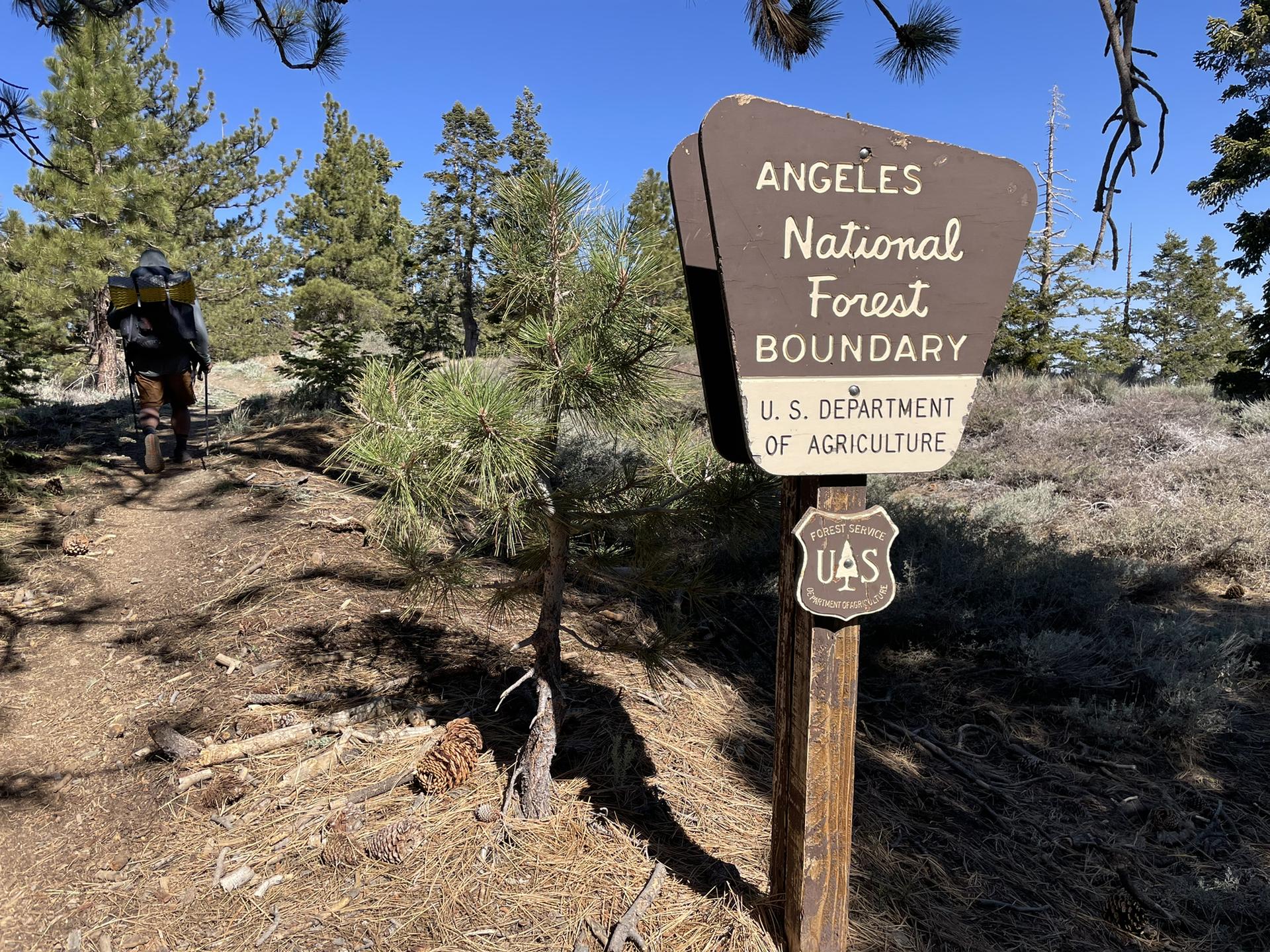 Hiker with a backpack on a dirt path next to a forest boundary sign.