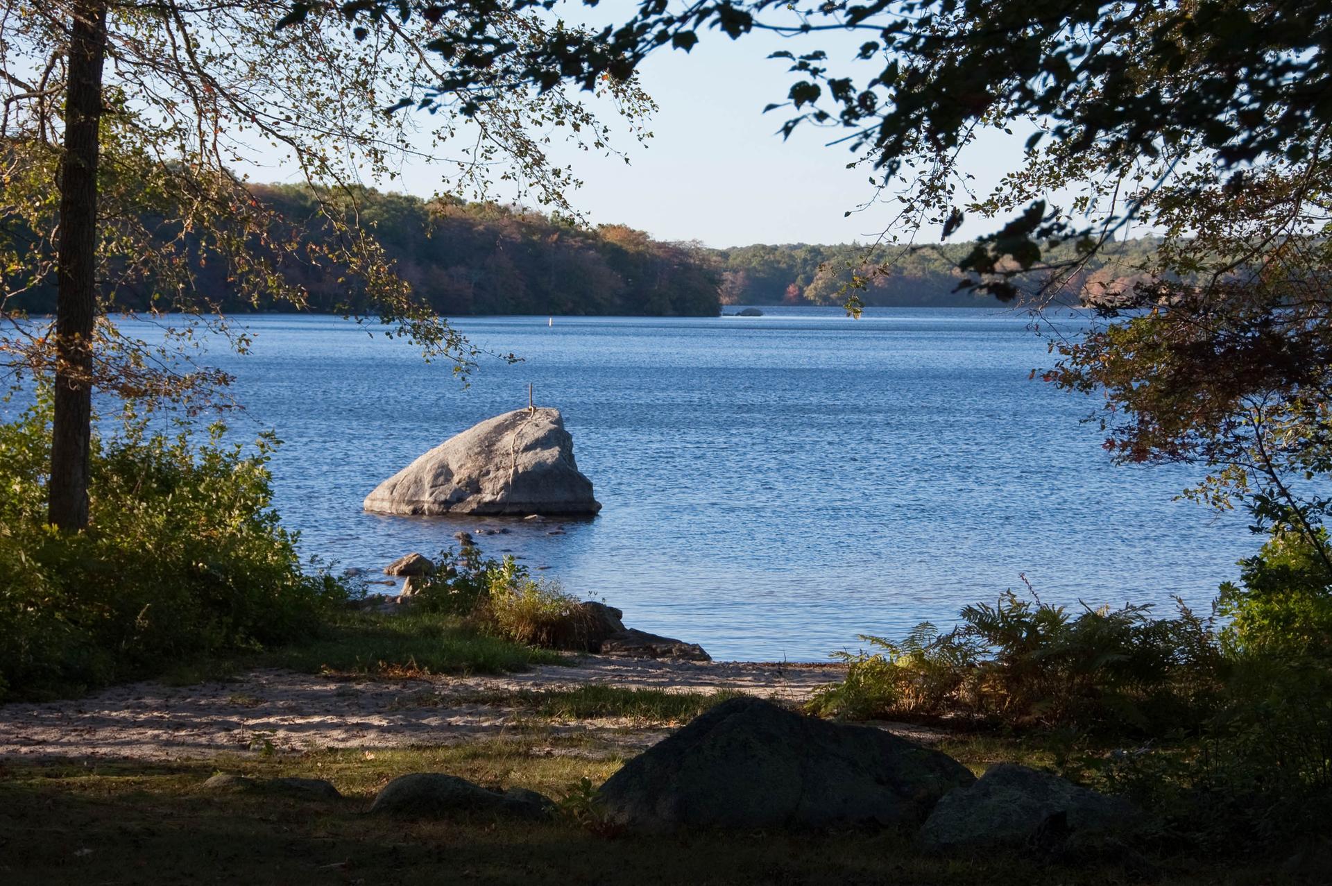 Large rock in a calm lake, framed by trees on a sunny day.