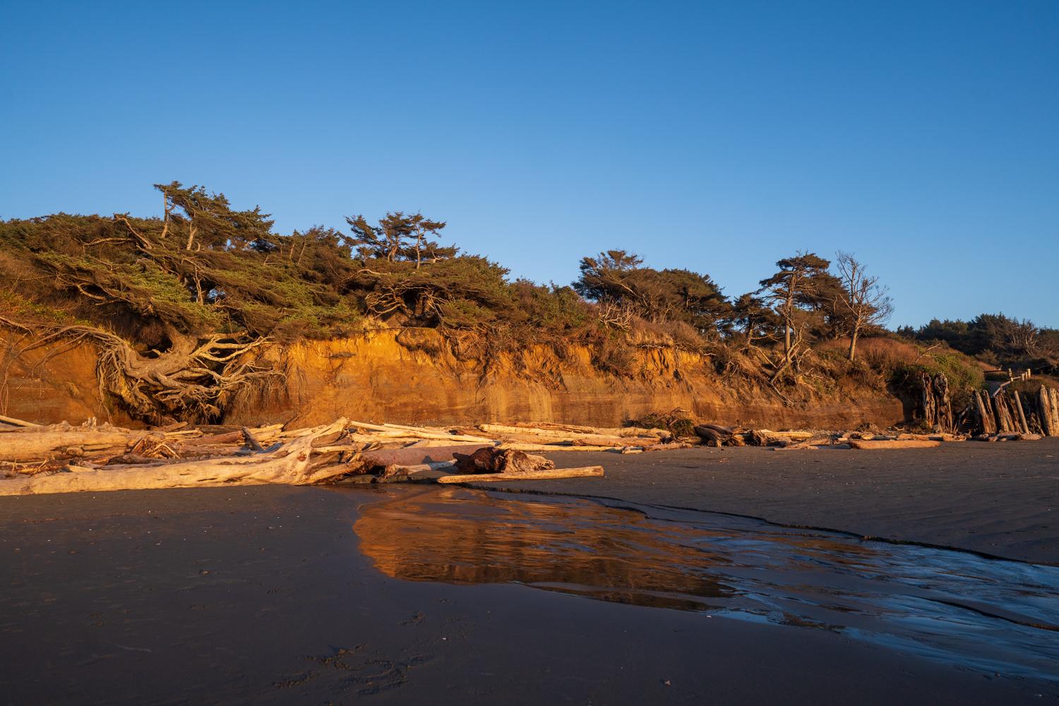 Golden hour light on a beach with driftwood, stream, and forested cliff.
