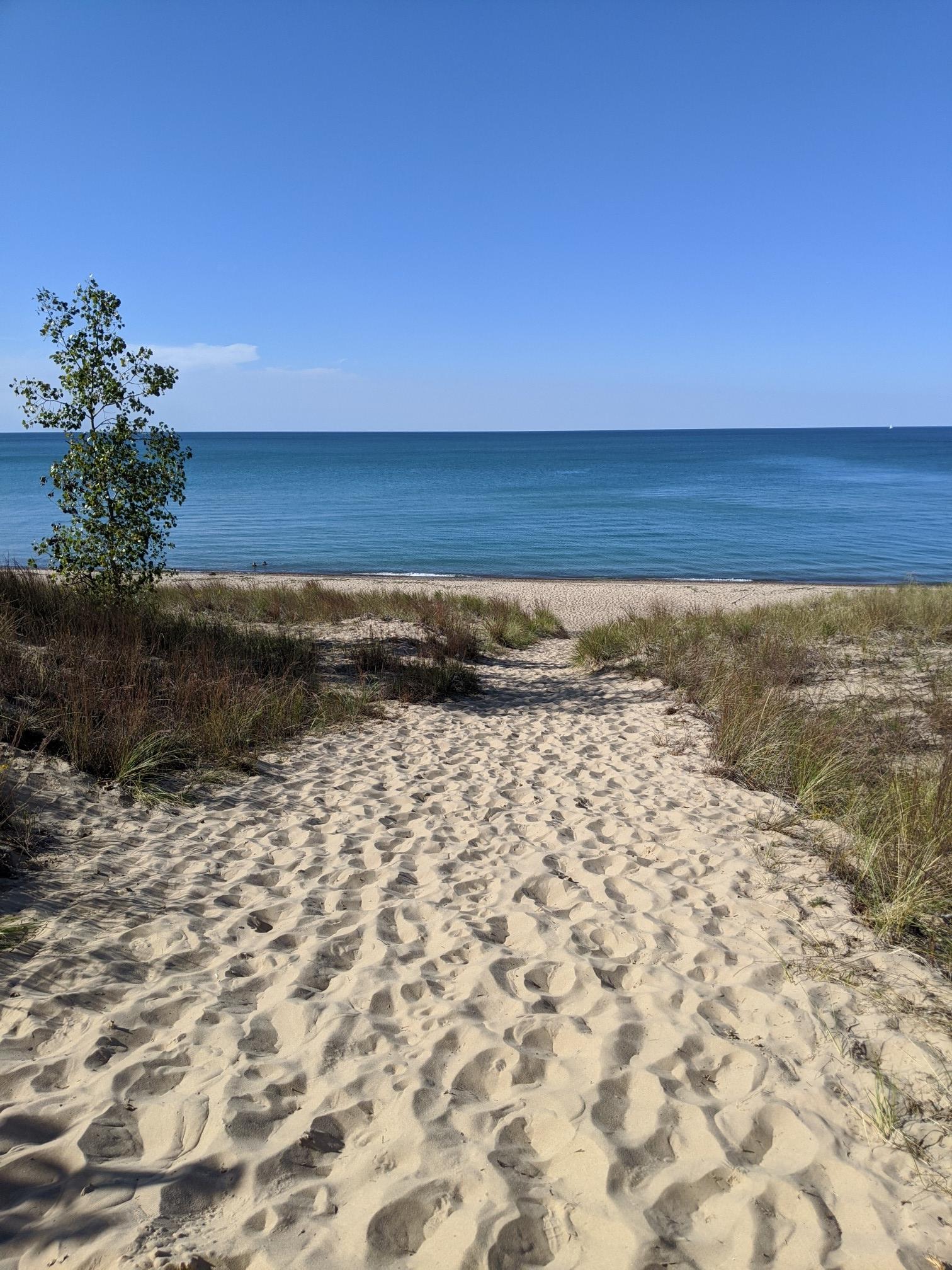 Sandy path through grassy dunes leading to bright blue water under clear sky.