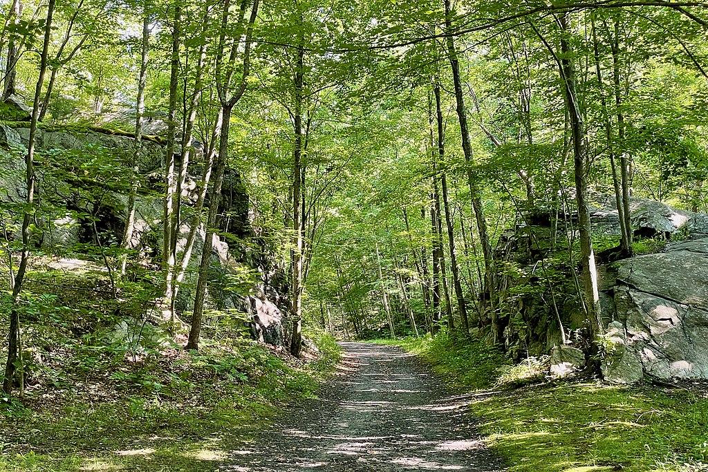 A sunlit dirt path winds through a dense forest with large rock formations.