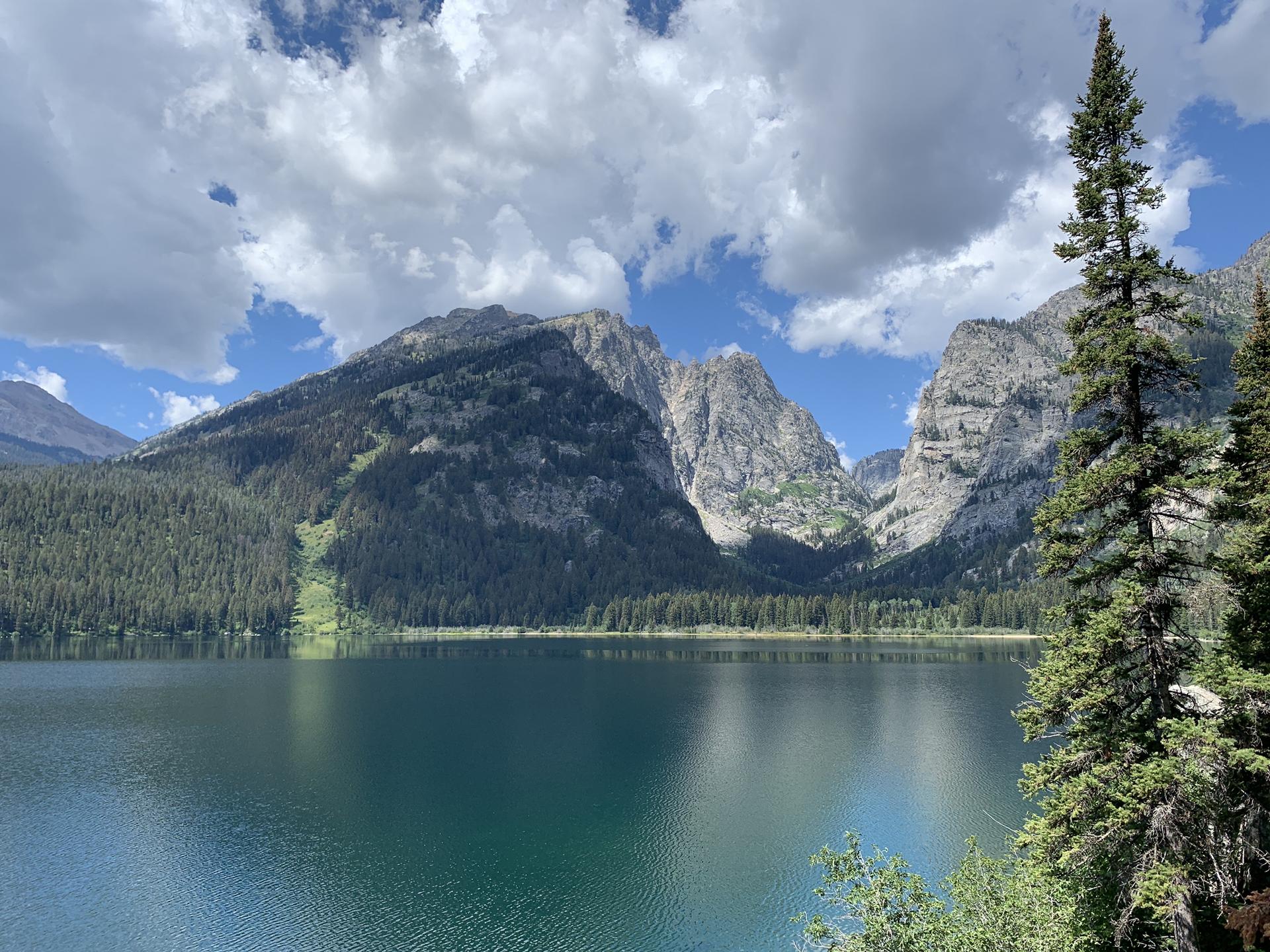 Lake reflecting forested mountains under a cloudy sky, with a tall pine tree.