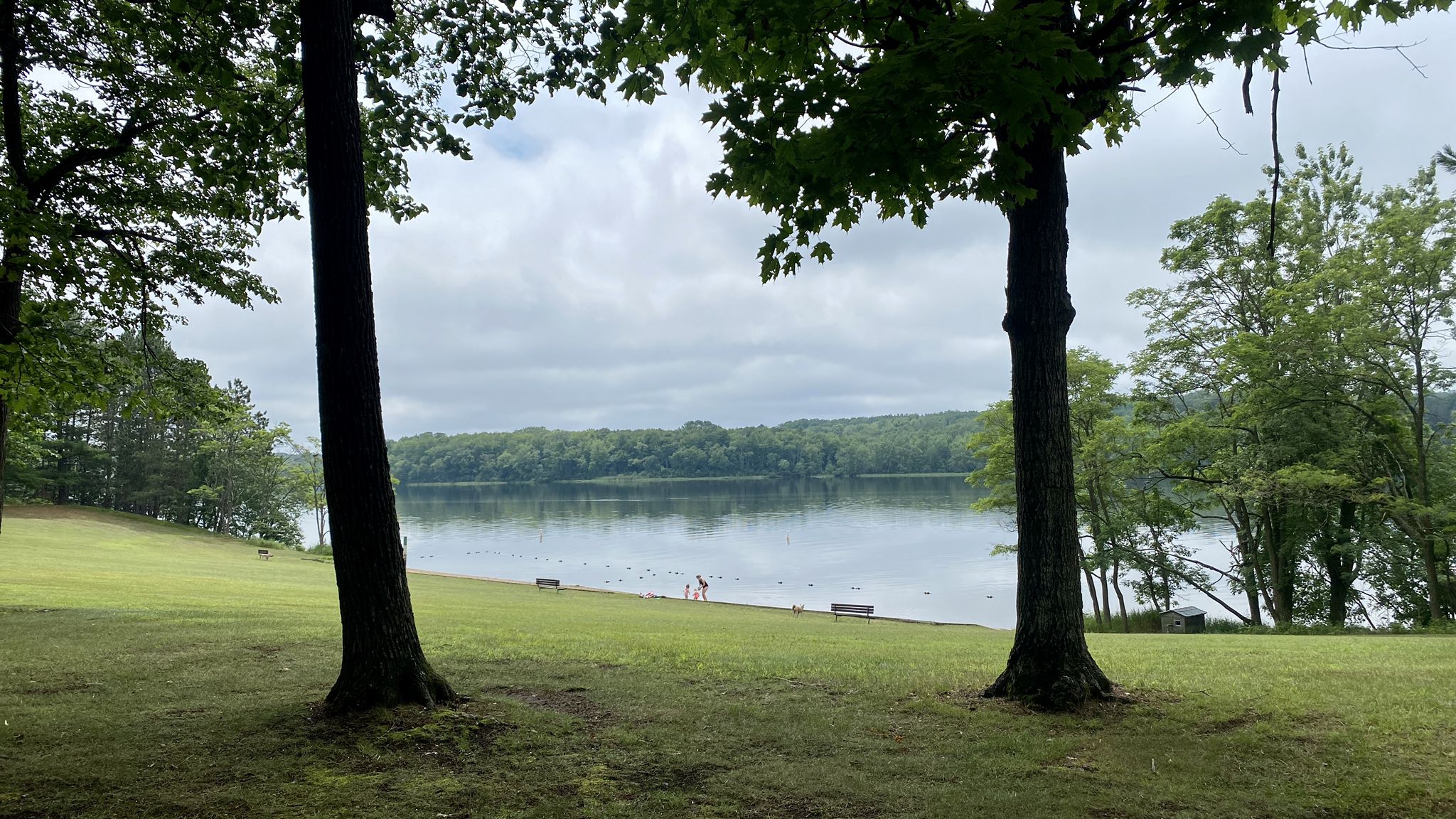 Grassy lake shore with distant trees and small figures under cloudy sky. - Brunet Island Park Loop