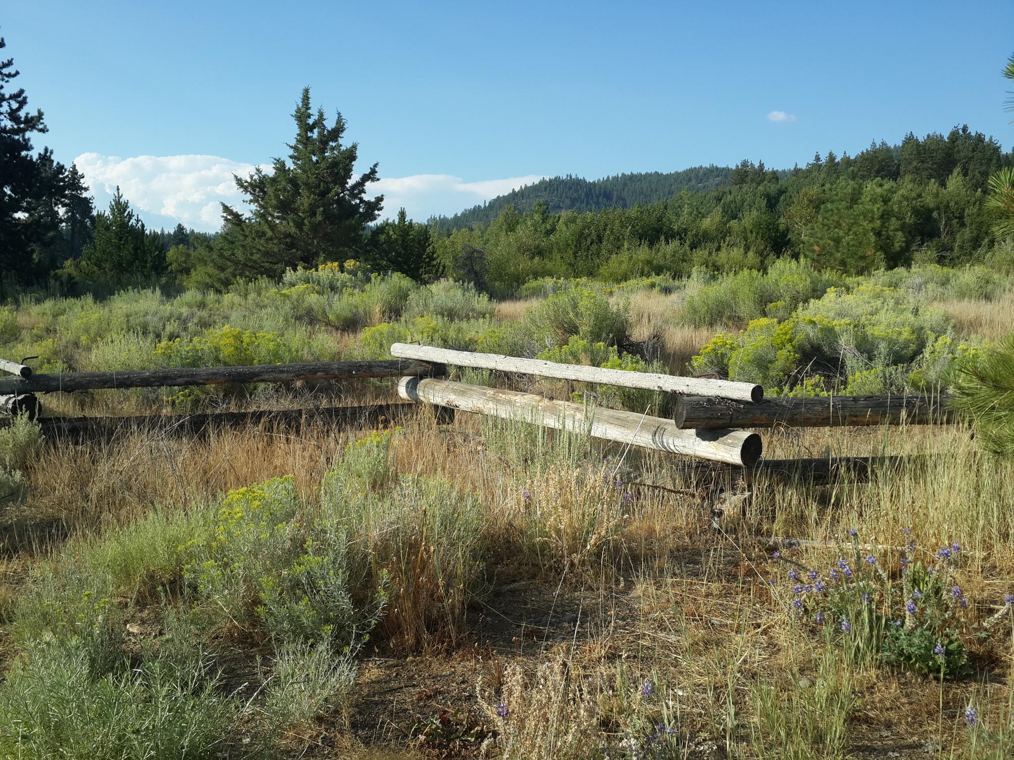 Rustic wooden fence in a sunny meadow with distant trees and hills.