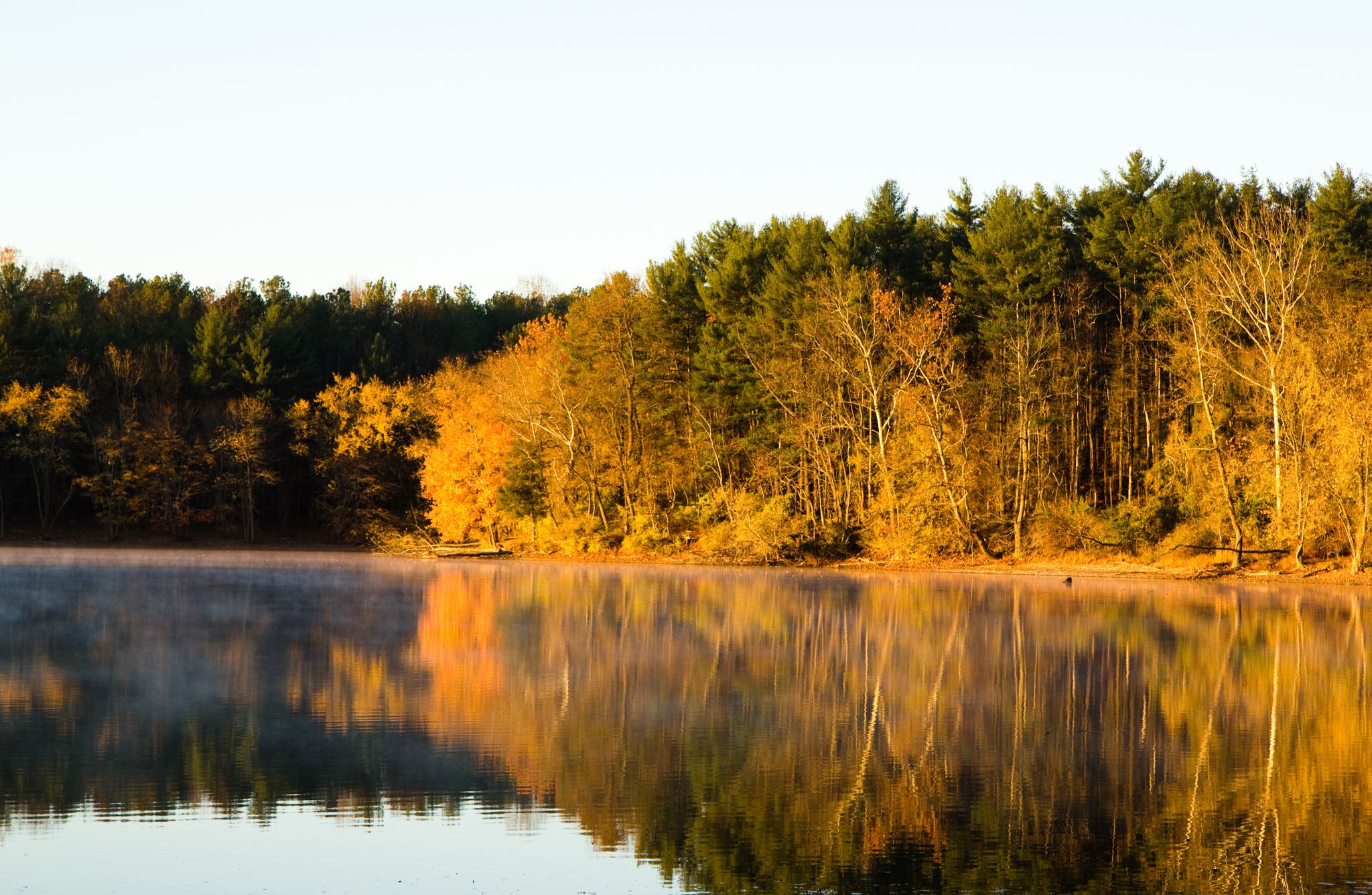 Misty lake reflecting a vibrant autumn forest under warm morning light. - Loch Raven Reservoir loop