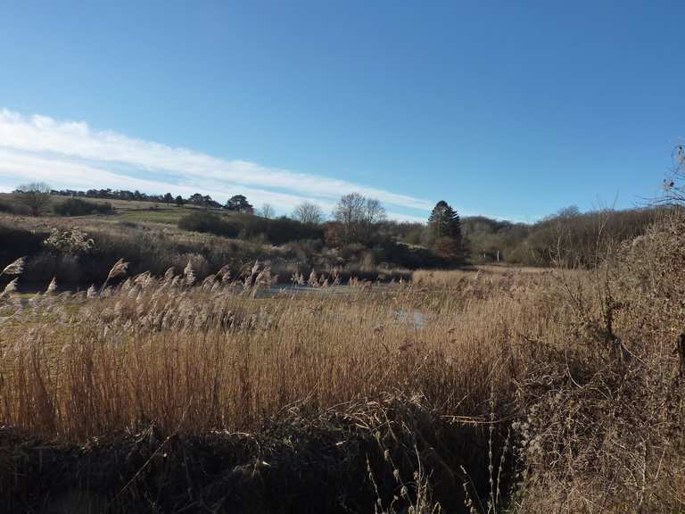 Giesener Teiche Mountain Bike Trails & Tracks Komoot