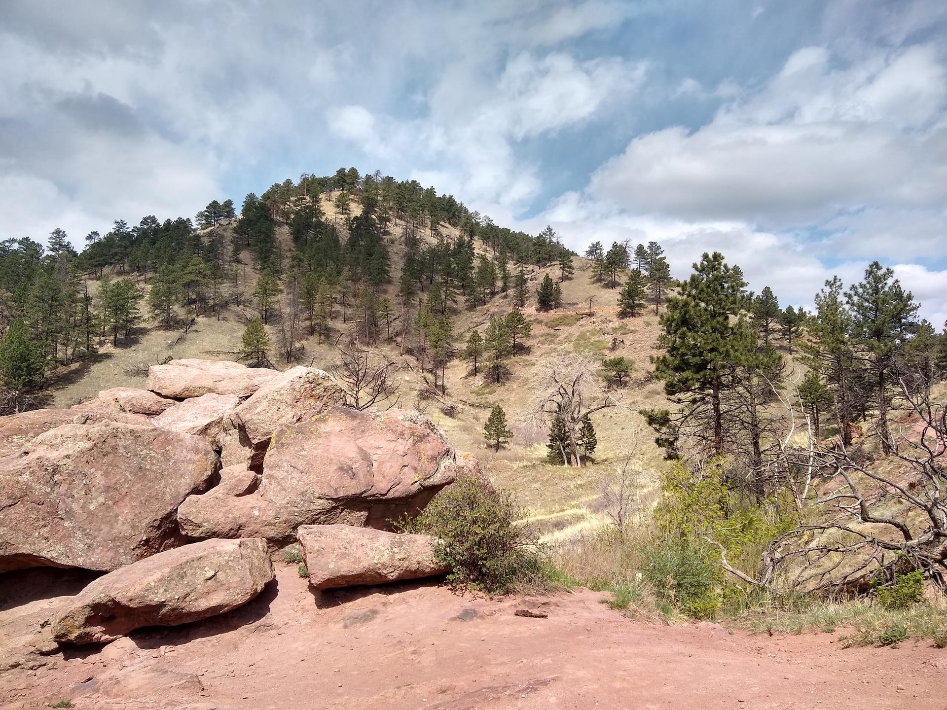 Reddish boulders in foreground, leading to a pine-covered hillside.