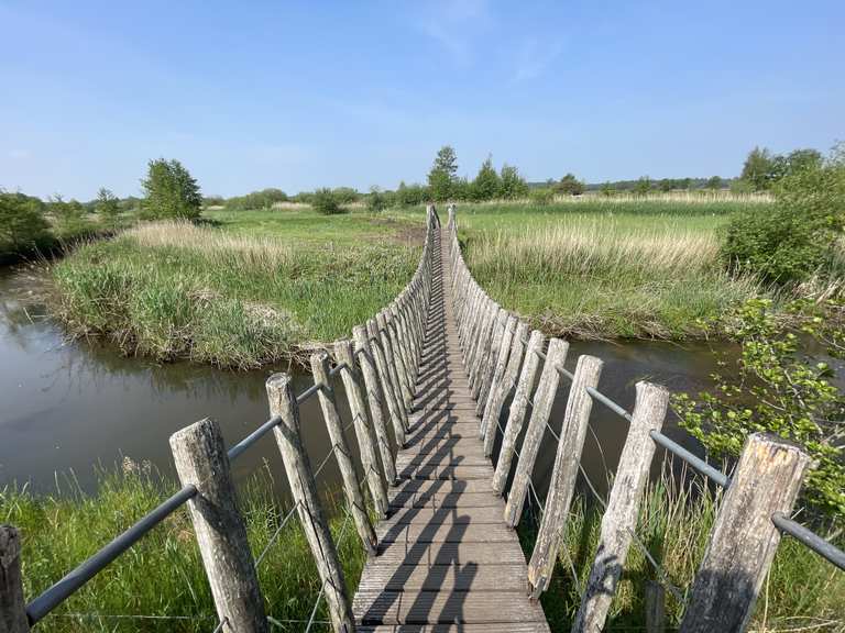 Hölzerne Brücke – Knoppelpad Runde von Neerpelt | Wanderung | Komoot