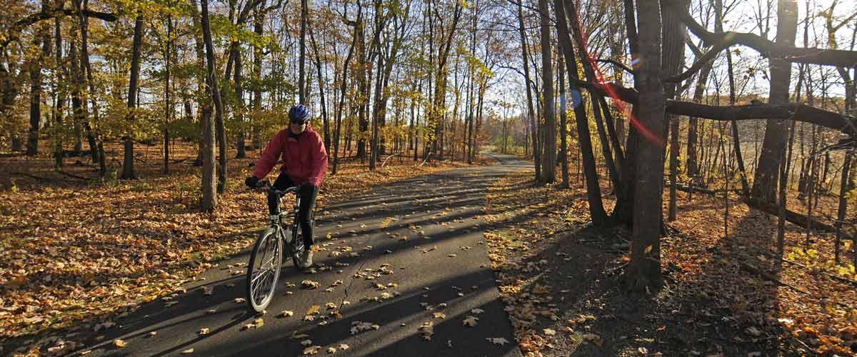 Cyclist on a sun-dappled paved path through autumn woods.