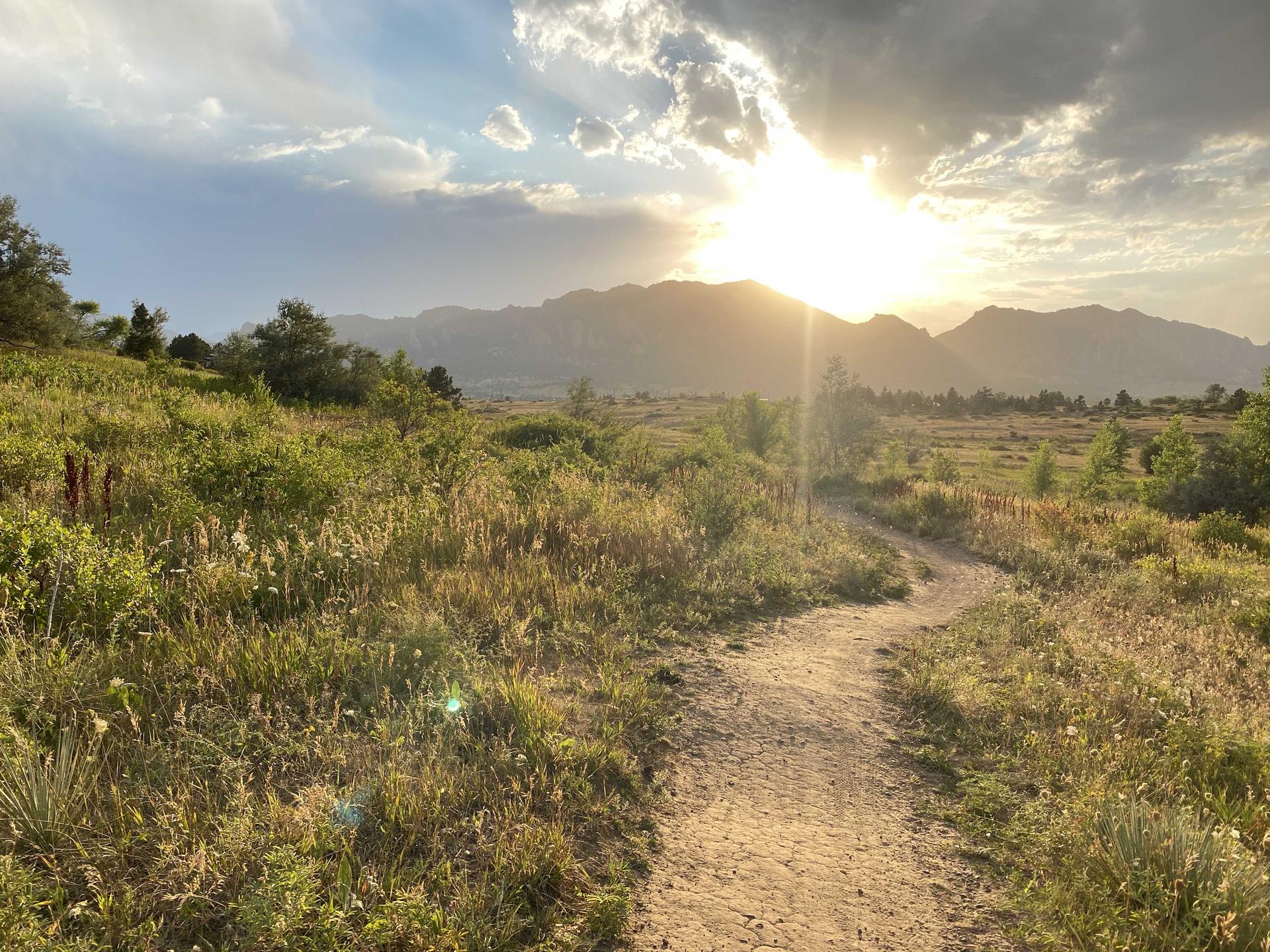 Dirt path through sunlit grassy field with mountains in the distance.