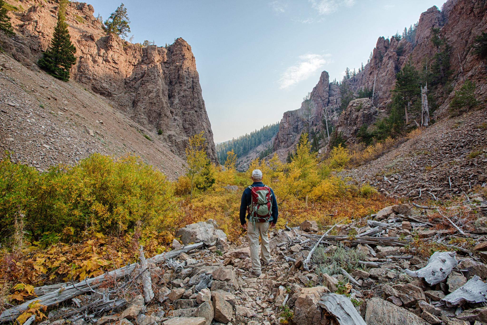 Hiker on a rocky path through a canyon with autumn foliage under bright skies.