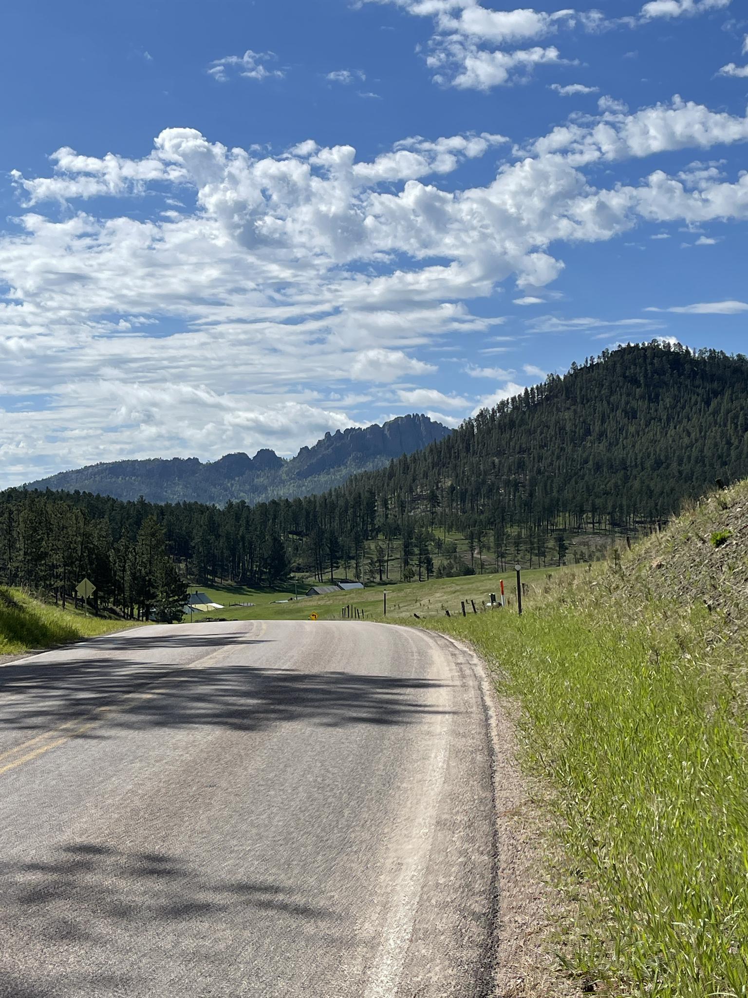 Winding road through a hilly landscape with pine trees under a cloudy sky.