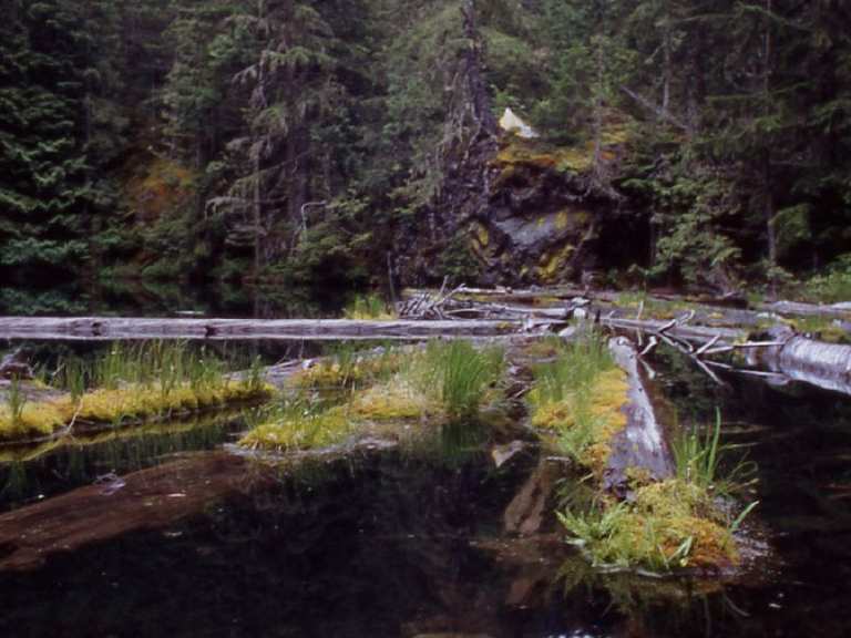 Pyramid Lake via the Pyramid Lake Trail – North Cascades National Park ...