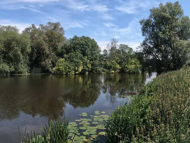 RSPB Hanson Ouse Fen Nature Reserve via River Great Ouse loop | hike ...