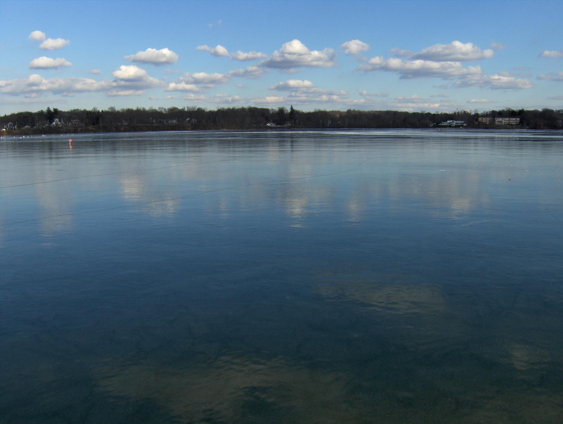 Calm blue water under a bright sky with a distant treeline.